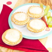 Small Fruit Pies x4